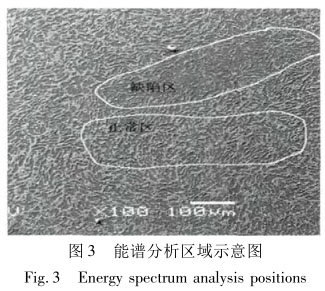 能譜分析區域示意圖